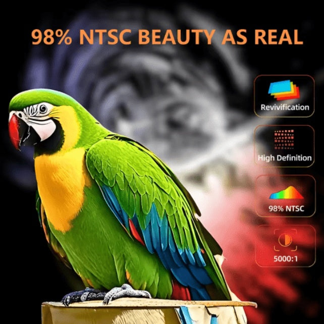 Portable Cordless Car Pressure Washer – Rechargeable 24V High-Pressure Spray Gun for Car, Garden & Patio Cleaning